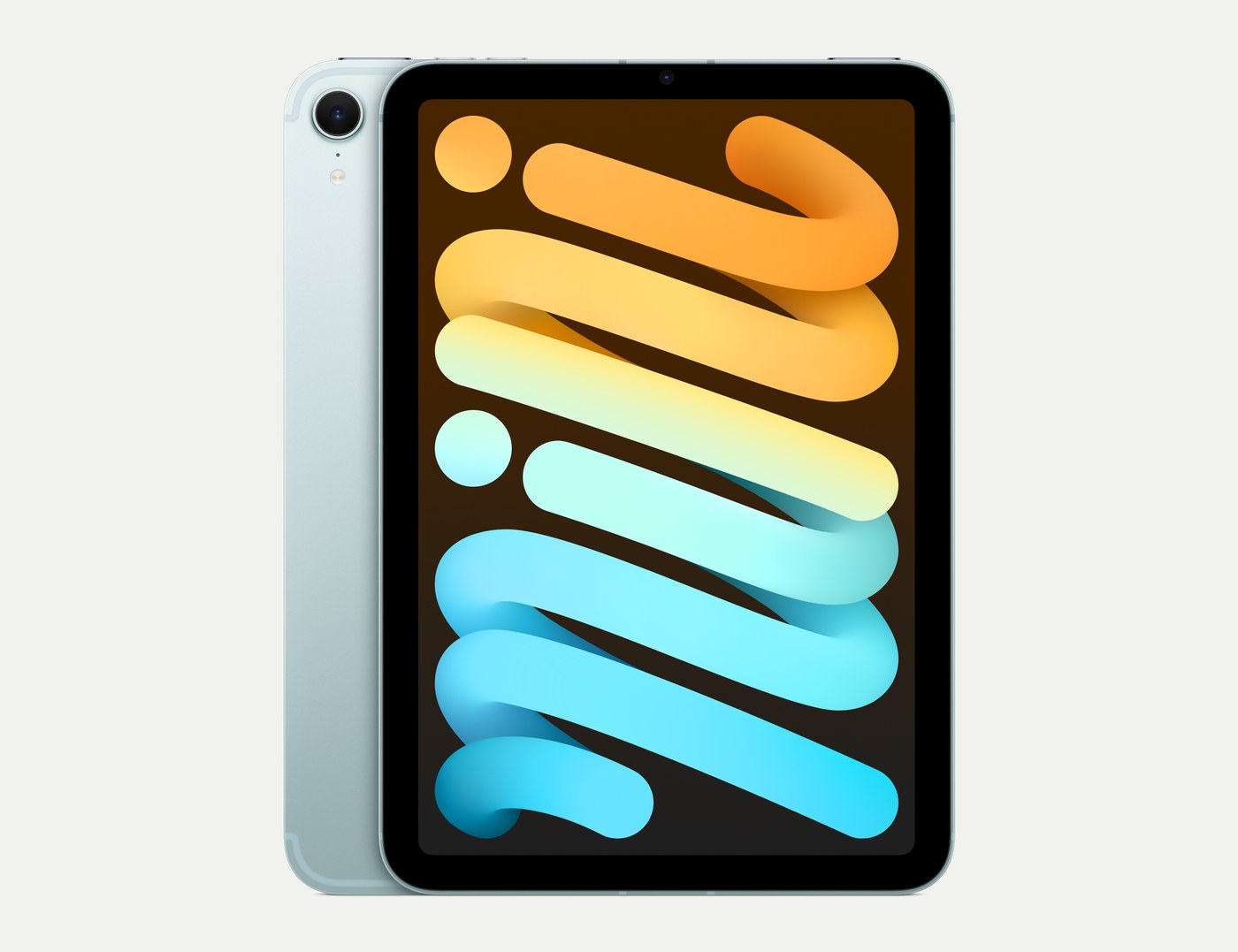 iPad mini, Blue
