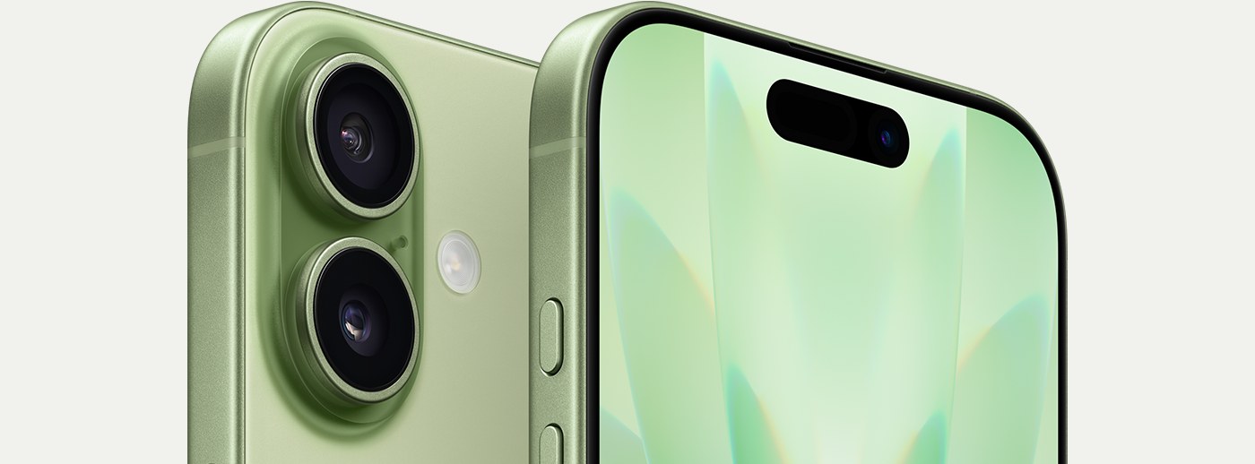iPhone 17, Sage
